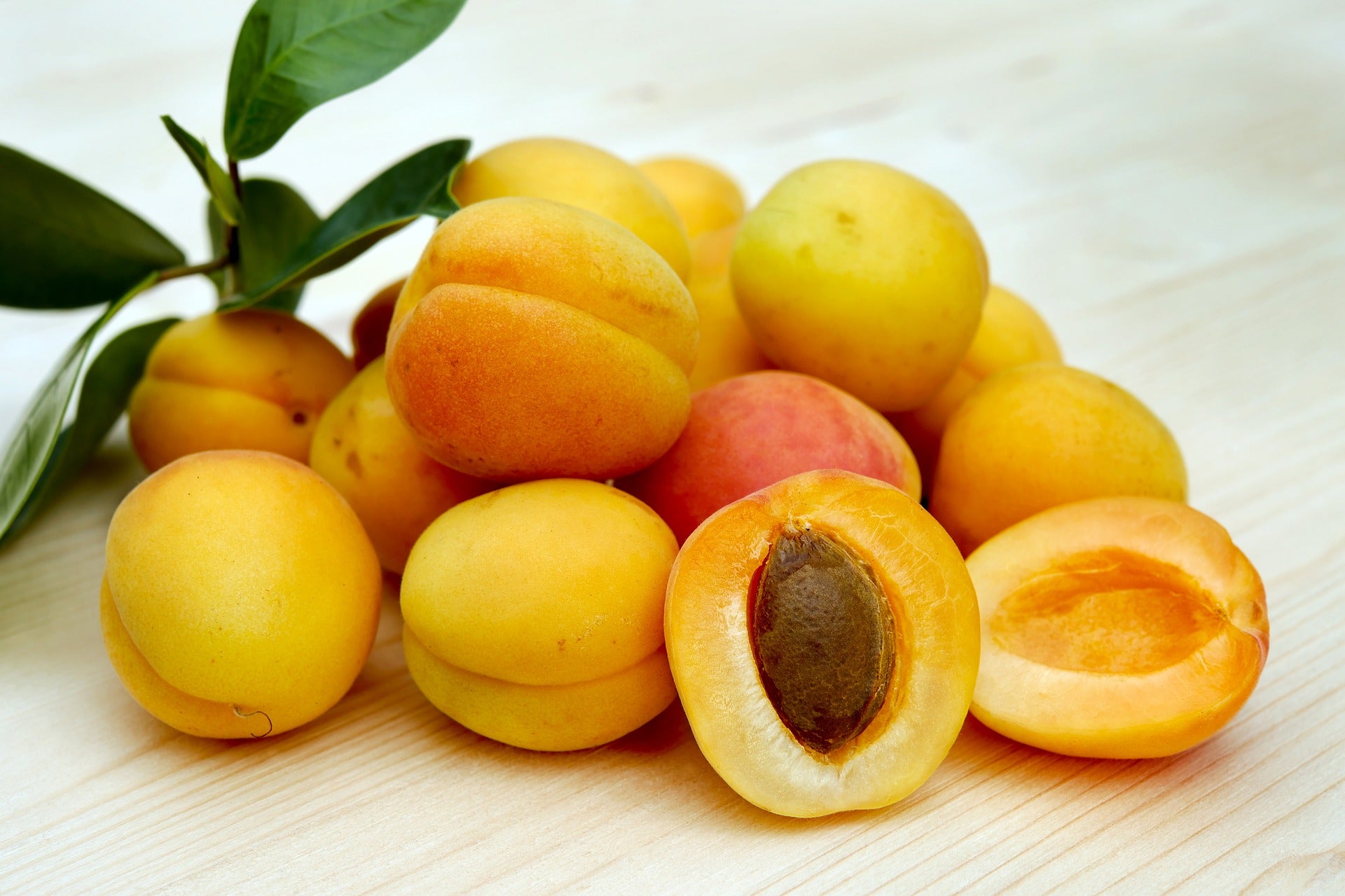 Apricot Oil