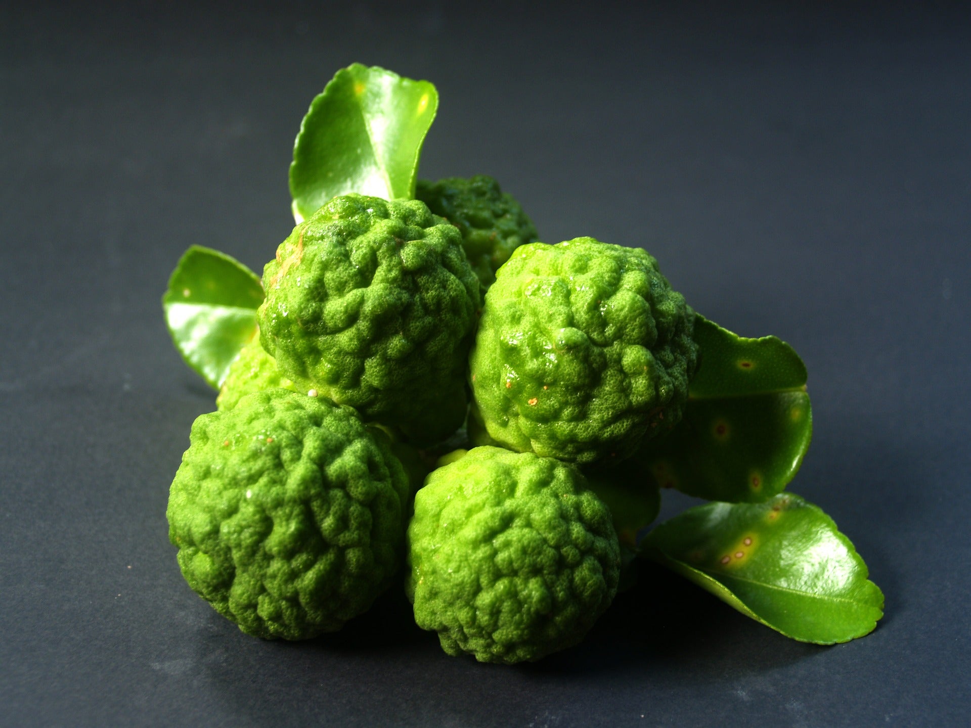 Bergamot Essential Oil