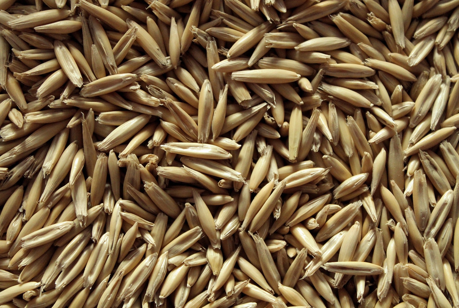 Hydrolyzed Oat Protein